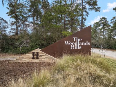 The Woodlands Hills by Century Communities in Willis - photo 53 53