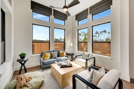 Audubon – Ascent Collection by David Weekley Homes in Magnolia - image 11