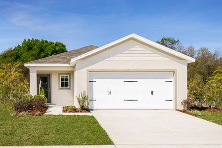 Hammock Reserve by Ryan Homes in Haines City - photo 0 0