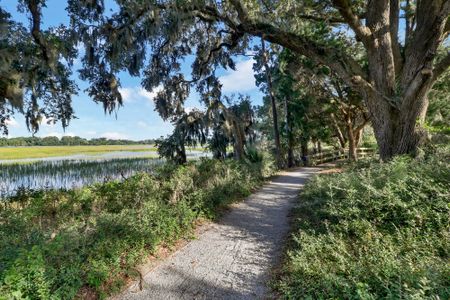 Oldfield by Dream Finders Homes in Okatie - image 17