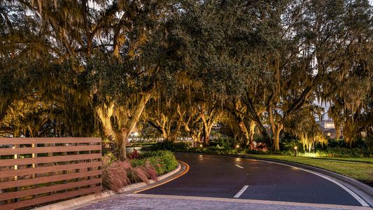 River's Edge by Taylor Morrison in Wesley Chapel - photo 22 22