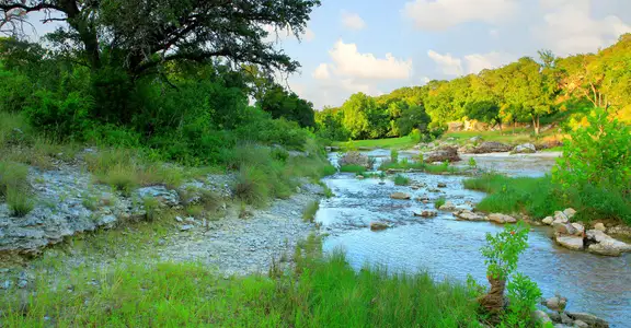 Wolf Ranch – West Bend by David Weekley Homes in Georgetown - image 19