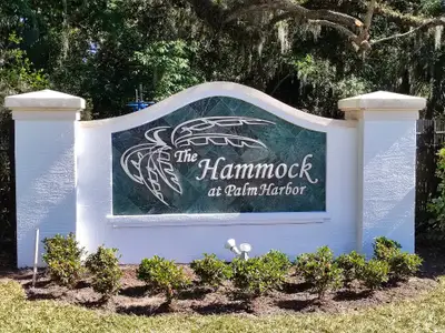 The Hammock at Palm Harbor New Homes in Palm Coast, FL.  - Slide 8