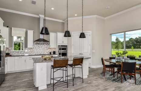 Sunset Preserve by Pulte Homes in Orlando - photo 11 11