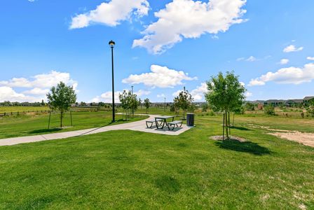 Waterside at Todd Creek by D.R. Horton in Thornton - photo 8 8