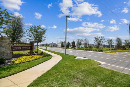 Cobblestone by M/I Homes in Zephyrhills - photo 13 13