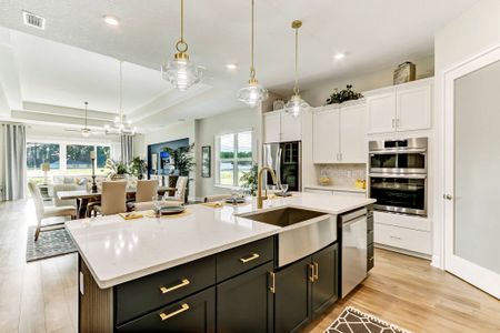 Sandy Ridge by SEDA New Homes in Yulee - image 9