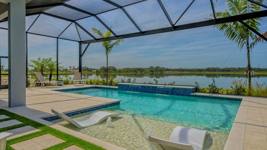 The Alcove at Waterside by Neal Signature Homes in Sarasota - photo 9 9