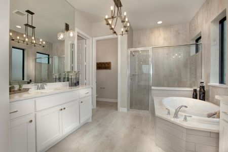 Meridiana 65 by Drees Custom Homes in Manvel - photo 25 25