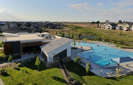 The Cove: A community hub with a fitness center, pickleball courts, clubhouse and more.