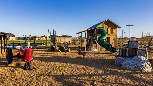 Harvest – Meadows Collection by David Weekley Homes in Queen Creek - photo 39 39