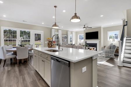 Kitchin Farms by Mungo Homes in Wake Forest - photo 94 94