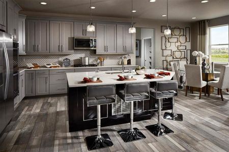 Macanta City Collection by Taylor Morrison in Castle Rock - photo 35 35