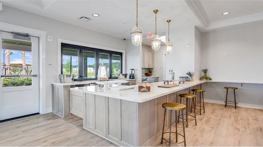 Edenbrooke at Hyland Trail | 55+: Edenbrooke at Hyland Trail 60s by Lennar in Green Cove Springs - image 9