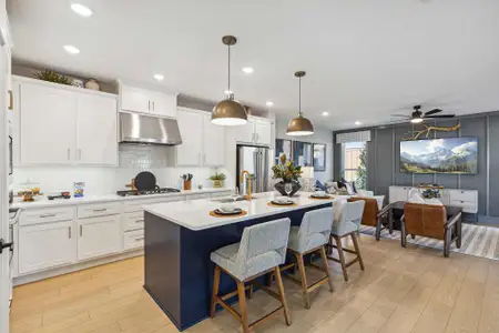 Walsh Gardens by David Weekley Homes in Aledo - image 3