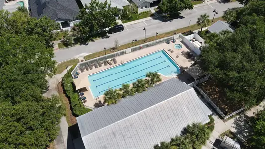 Longleaf: The Havens 5