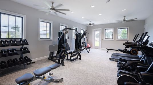 Abbott Square: The Executives by Lennar in Zephyrhills - photo 4 4