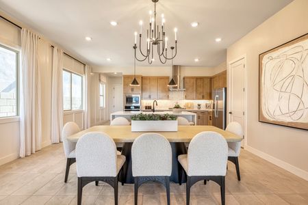 Lucent at Terraza by Tri Pointe Homes in San Tan Valley - photo 18 18