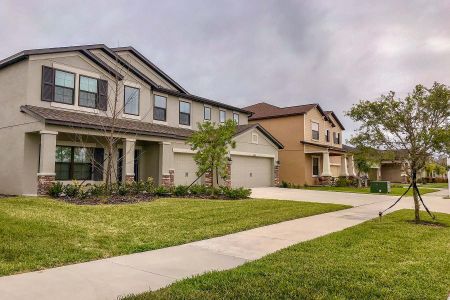 Epperson by M/I Homes in Wesley Chapel - photo 25 25