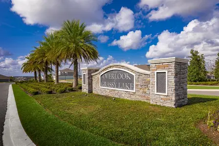 Overlook at Grassy Lake by Ryan Homes in Minneola - image