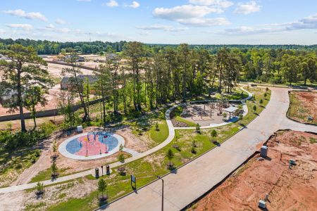 Lone Star Landing by M/I Homes in Montgomery - photo 7 7