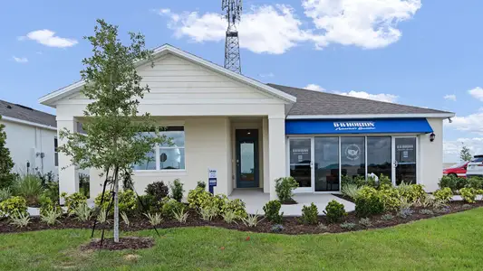 Hamilton Bluff by D.R. Horton in Haines City - image