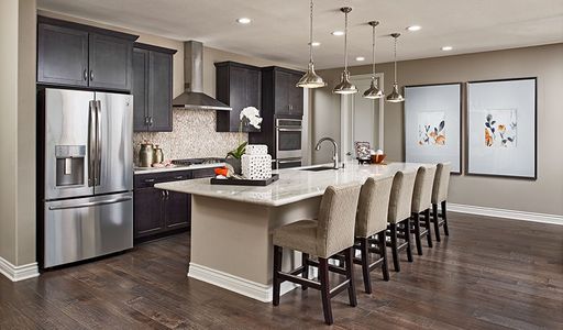 West Park Estates by Richmond American Homes in Queen Creek - photo 20 20