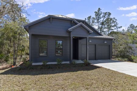 The Shoal by Brock Built in Santa Rosa Beach - image 14