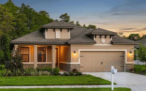 Royal Highlands by Vitale Homes in Brooksville - image 7