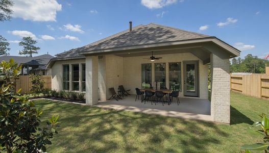 Evergreen 50' by Perry Homes in Conroe - photo 2 2