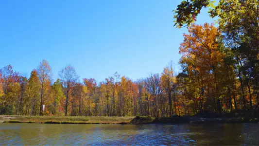 Cresswind at Rocky River by Kolter Homes in Locust - image 16