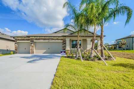 Epperson by M/I Homes in Wesley Chapel - photo 26 26