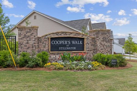 Cooper's Walk by McKinley Homes in Loganville - image