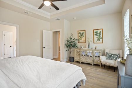 Starburst at Hammock Bay by DSLD Homes in Freeport - image 11