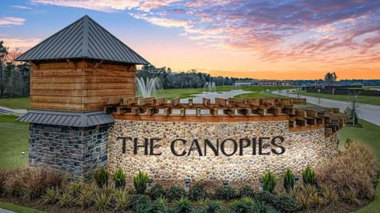 The Canopies by Smith Douglas Homes in Splendora - photo 0