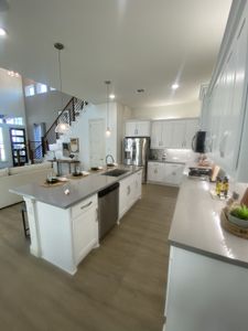 Solterra Texas by Brightland Homes in Mesquite - photo 31 31