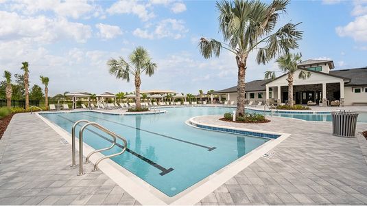 Stonegate Preserve: The Estates 25