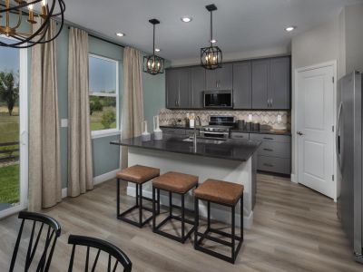 Ridgeline Vista: The Flora Collection by Meritage Homes in Brighton - photo 15 15