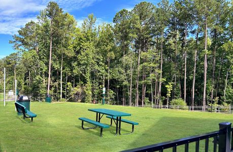 Carpenters Pointe by Beazer Homes in Cary - photo 5 5