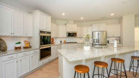 Falls Cove at Lake Norman: Falls Cove at Lake Norman - Phase 3 & 4 by Lennar in Troutman - photo 6 6