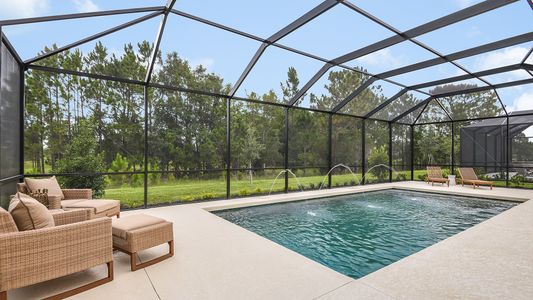 River Landing by Taylor Morrison in Wesley Chapel - photo 27 27