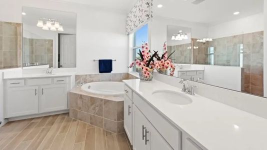 Stillwater at Lakewood Ranch: Executive Homes 6