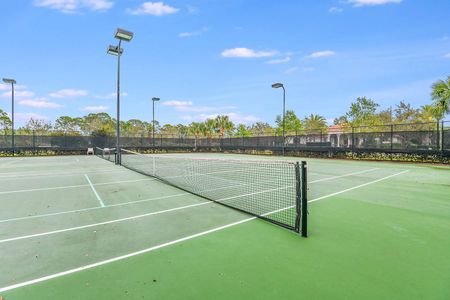 Canopy Creek by Kolter Homes in Palm City - photo 3 3