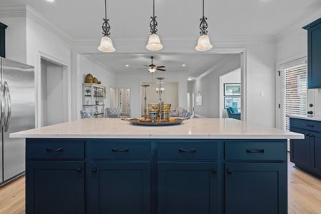 Starburst at Hammock Bay by DSLD Homes in Freeport - image 3