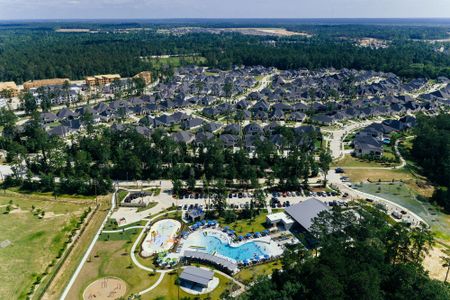 Audubon – Ascent Collection by David Weekley Homes in Magnolia - image