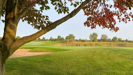 Brunswick Pines by Lennar in Shallotte - image