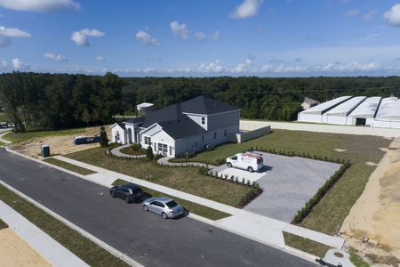 Wolf Lake Ranch by M/I Homes in Apopka - photo 7 7