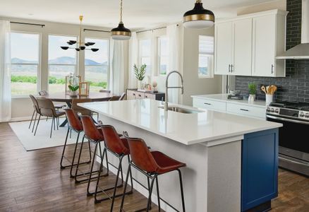 Stargaze at Solstice by Shea Homes in Littleton - photo 17 17