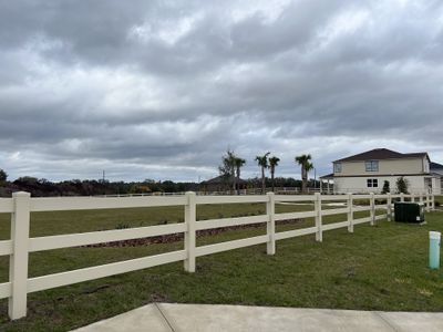 Sanctuary Ridge by KB Home in Wesley Chapel - photo 11 11