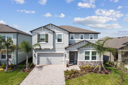 Cobblestone by M/I Homes in Zephyrhills - photo 24 24